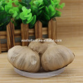 Healthcare Food Black Garlic Supplement